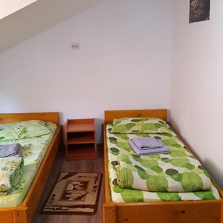Casa Borcean Villa Sasca Montană Eksteriør billede