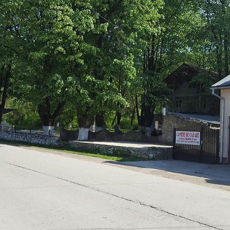 Casa Borcean Villa Sasca Montană Eksteriør billede