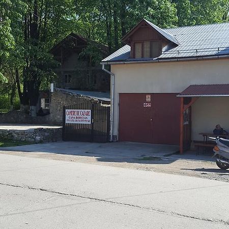 Casa Borcean Villa Sasca Montană Eksteriør billede