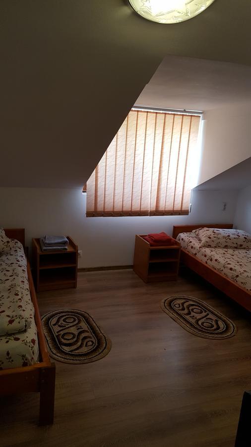 Casa Borcean Villa Sasca Montană Eksteriør billede