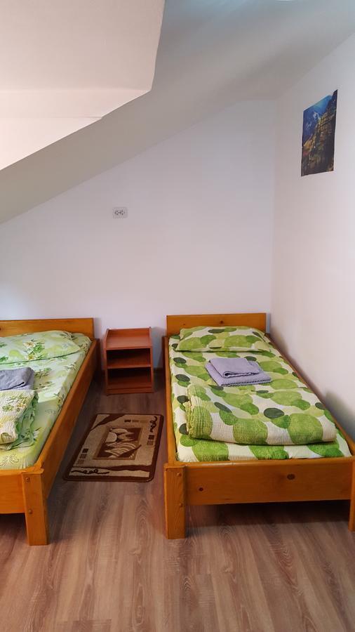 Casa Borcean Villa Sasca Montană Eksteriør billede