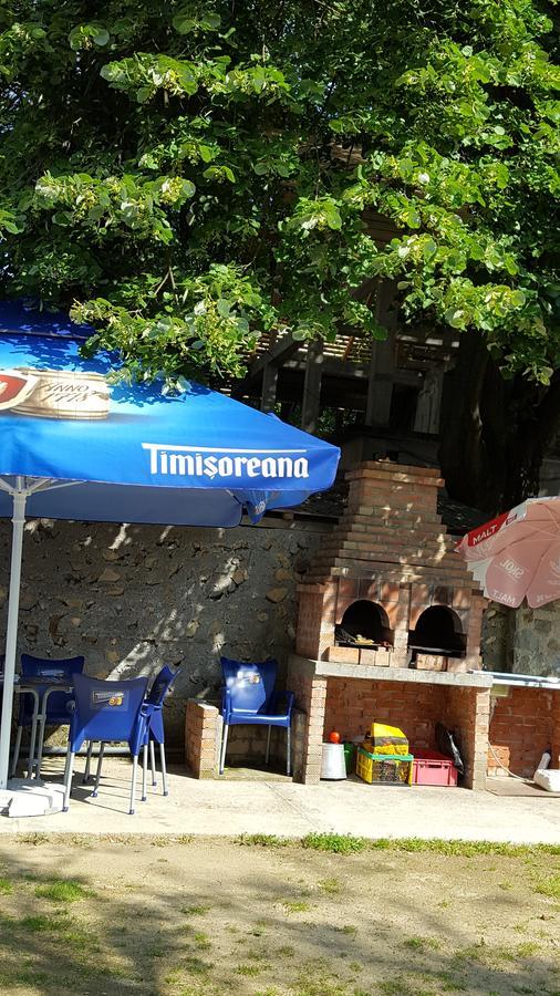 Casa Borcean Villa Sasca Montană Eksteriør billede