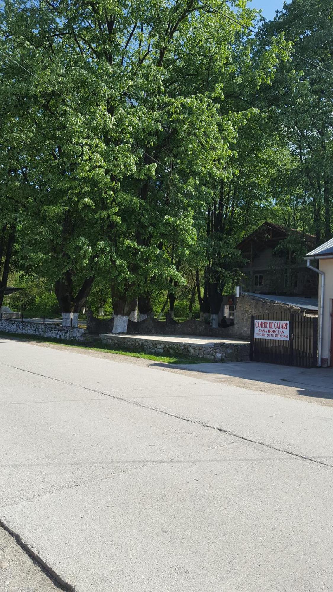 Casa Borcean Villa Sasca Montană Eksteriør billede